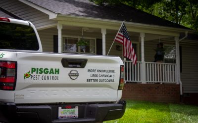 Upholding Excellence Through Core Values